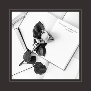 国产一区欧美二区
